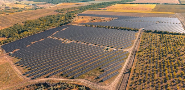 Energia solar para agronegócio
